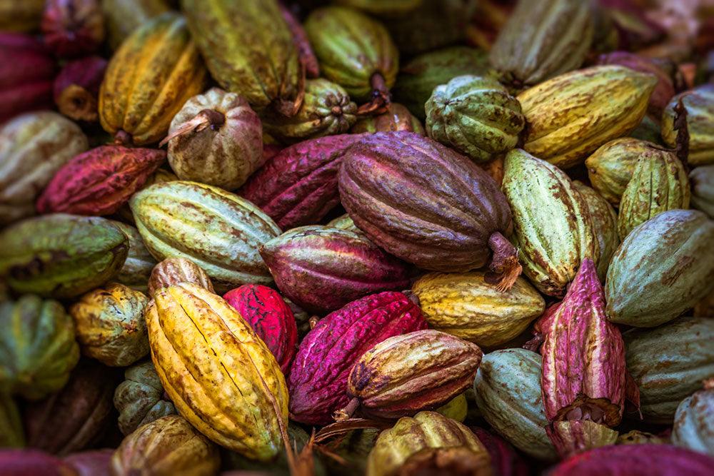 Les bienfaits du nano cacao sur votre peau - SeventyOne