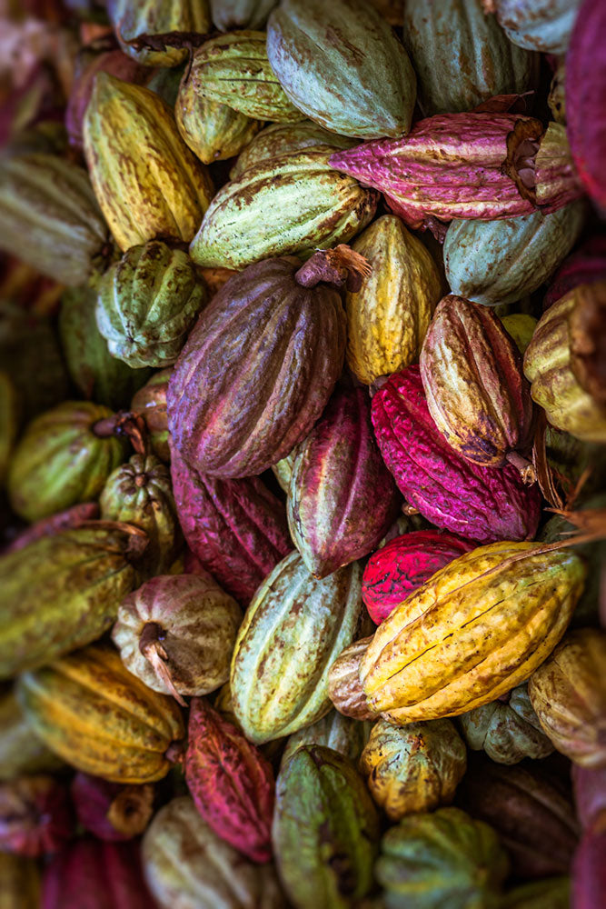 Le Nano Cacao