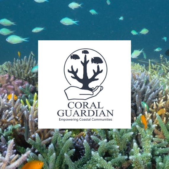 Zoom sur Coral Guardian - SeventyOne