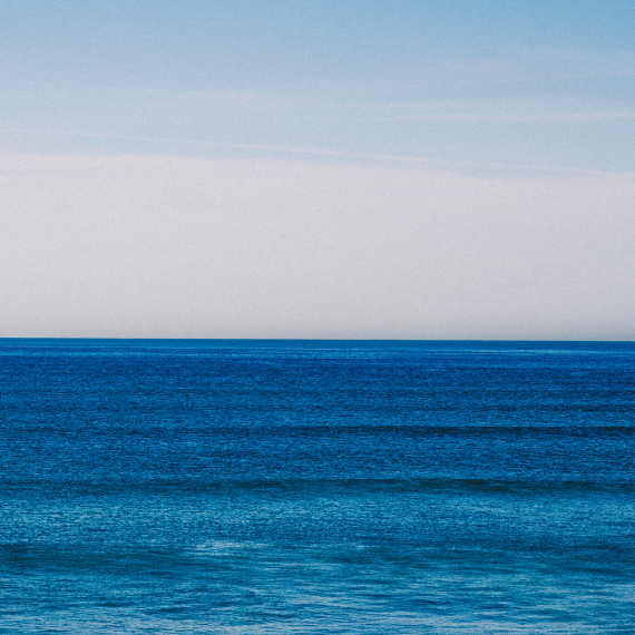 Journée de l'ocean