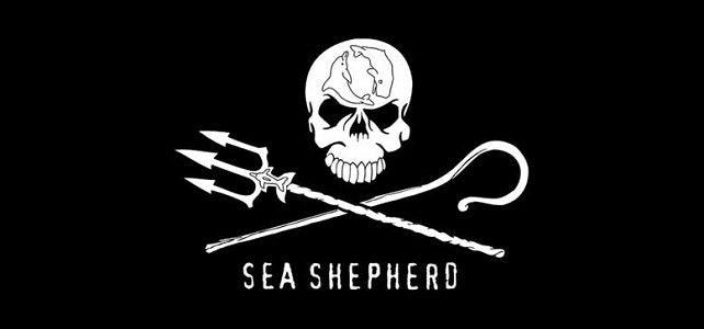 Sea Shepherd - SeventyOne